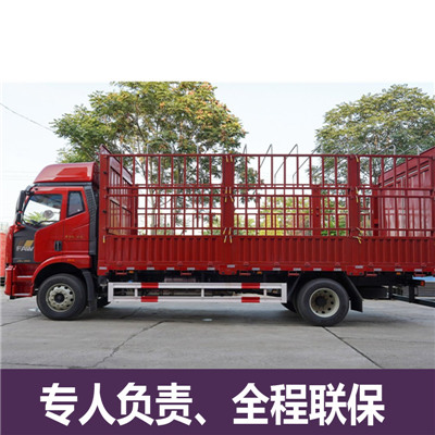 惠州到壤塘縣大件物流輸送-惠州至壤塘縣物流大件運輸價格